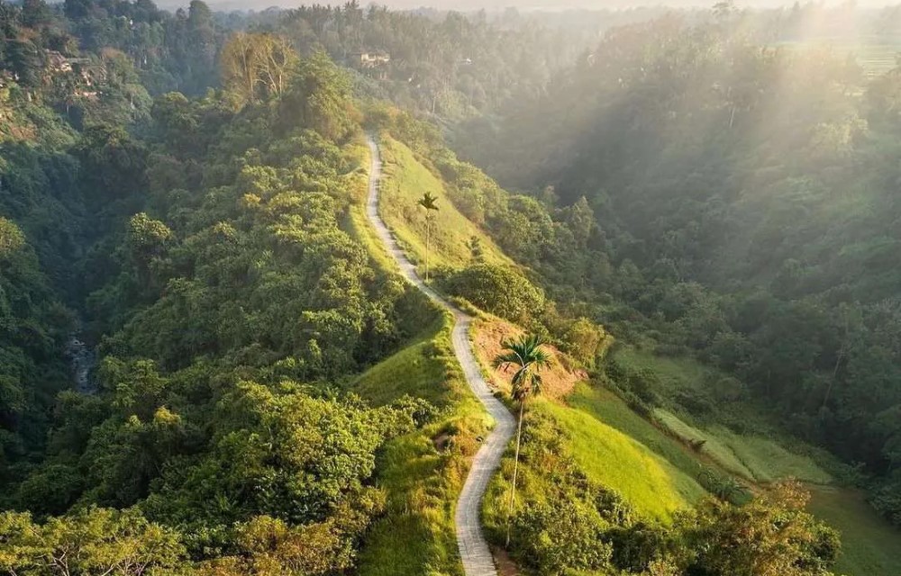 Campuhan Ridge Walk in Kecamatan Ubud Pictures
