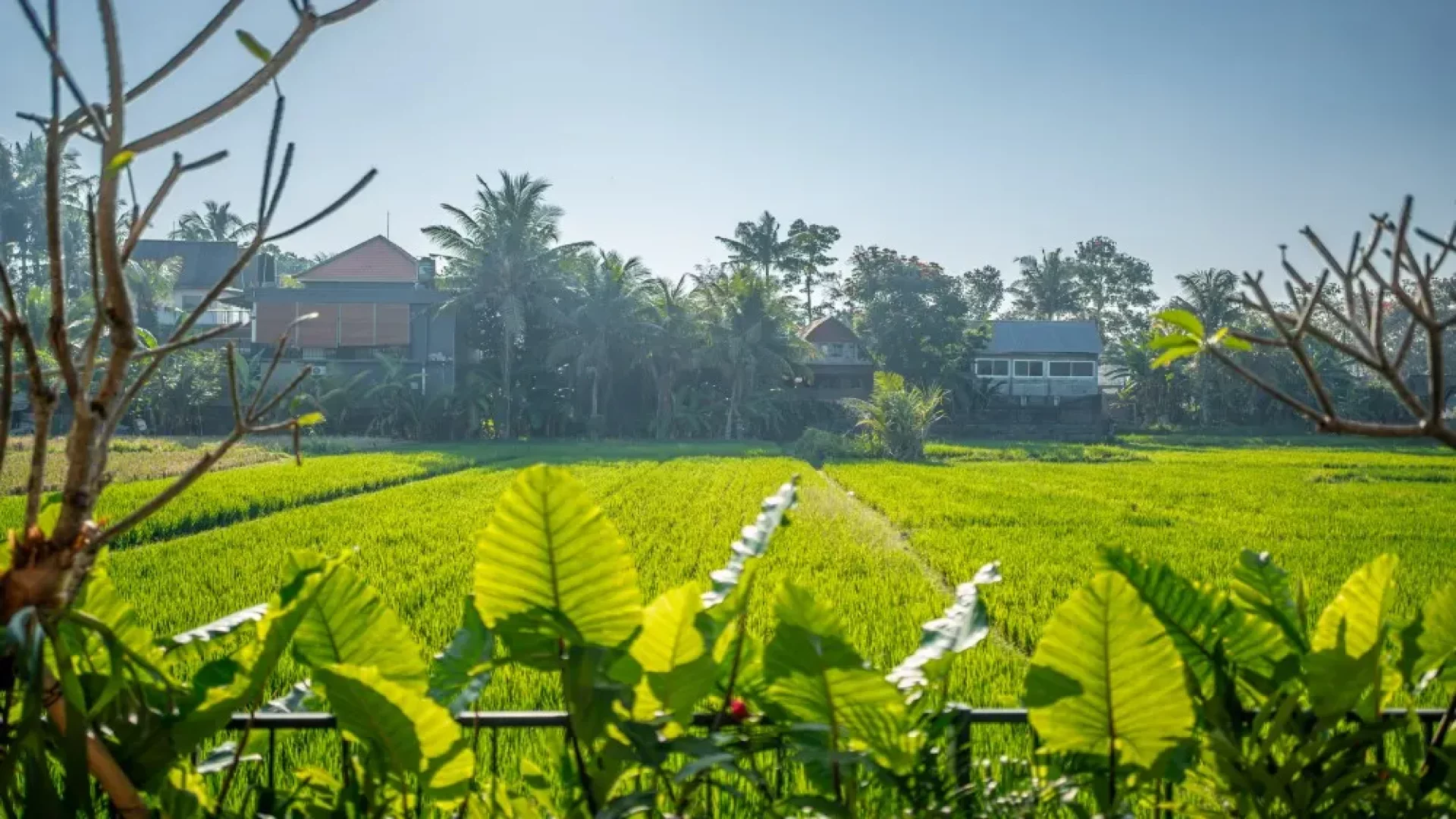 The Royal Queen Bamboo Ubud